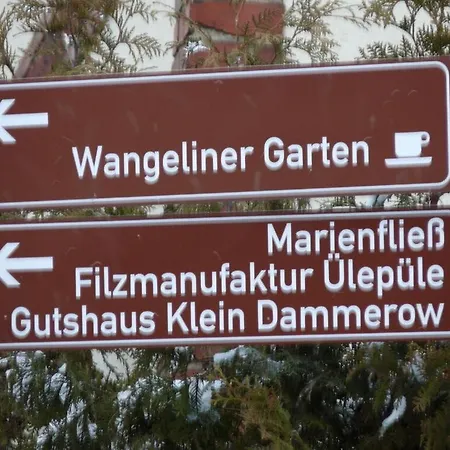 Mayer-eg Ganzlin